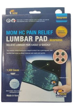 Mom Health Care Pain Relief Lumbar Pad